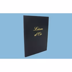 LEBON &amp; VERNAY 530010, 148 feuilles, Noir, 100 g/m², 170 mm, 220 mm