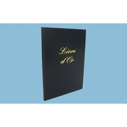 LEBON & VERNAY 530010 livre d'administration Noir 148 feuilles