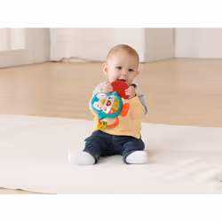 VTech Hochet P'Tit Pingouin