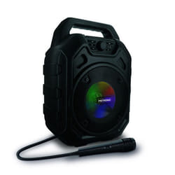 Enceinte Mini High Power avec micro - noire