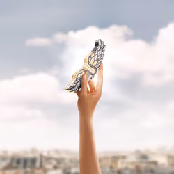 Zadig eau de parfum vaporisateur 50 ml
