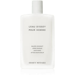 Issey Miyake L'Eau d'Issey Pour Homme 100 ml