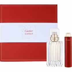 Cartier FJ100010