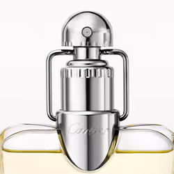 Cartier Déclaration 100ml Hommes