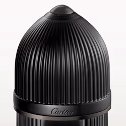 Cartier Pasha Noir Absolu 100ml Hommes - Vue supplémentaire 2