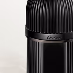 Cartier Pasha Noir Absolu 100ml Hommes - Vue supplémentaire 3