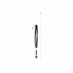 Antenne PRESIDENT IOWA 102cm