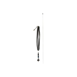 Antenne PRESIDENT IOWA 102cm