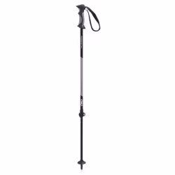 Batons de ski HIKING ALU 2