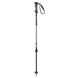 Batons de ski HIKING ALU 2