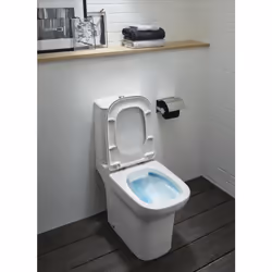 Jacob Delafon E24475-00 toilette