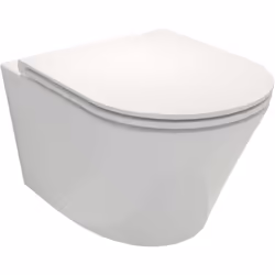 Avantages du WC suspendu sans bride JACOB DELAFON Rodin+ avec abattant : Design Suspendu : Moderne et épuré. Matériau de Qual ...