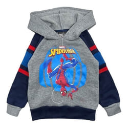 Sweat à capuche - MARVEL - SPI24-2916 S2-8A - Gris - Garçon - Manches longues