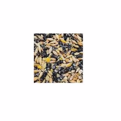 Gasco 3450550305105, Graines, 20 kg