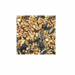 Gasco 3450553410165, Graines, 20 kg