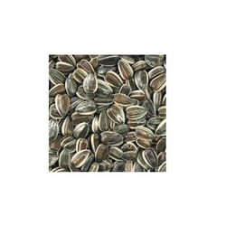 Gasco 3450554000198 aliment pour oiseaux de compagnie 8 kg