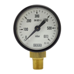 Favex - Manomètre 0-600 mbar - Raccord vertical Mâle 10x100