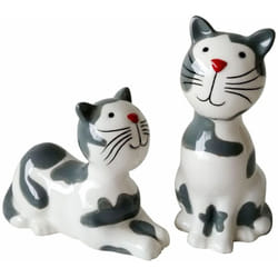 Set et Poivre Couple de chats