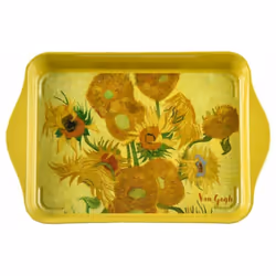 Plateau vide poche 21 x 14 cm En métal Dim : 21 x 14 cm