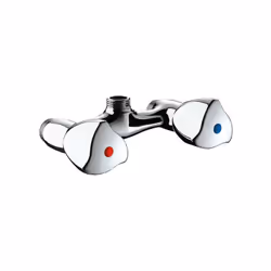 Delabie - Mélangeur de douche mural laiton chromé M1/2"entraxe 110 mm - Choix de la température - Tête à clapet Long-Life Mél ...