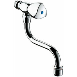 Delabie - Robinet Evier avec Bec Mobile Dimensions Evier Cuisine: 200 mm