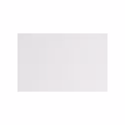 Miroir incassable inox poli 500x400x10mm fixations invisibles - DELABIE - Ref : 3452 - Blanc