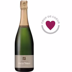 Champagne Joly de Trebuis x1