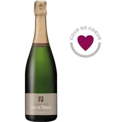 Champagne Joly de Trebuis x1