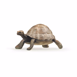 Papo Tortue, Figurine à collectionner, Film et série TV, 46 g
