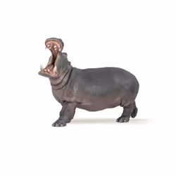 Papo Hippopotame, 3 an(s), Wild animal, Gris, PVC