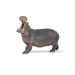 Papo Hippopotame