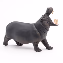 Papo Hippopotame