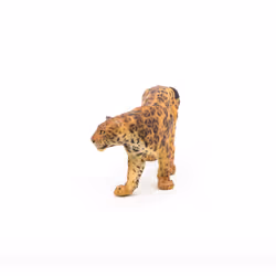 Papo Jaguar - Vue supplémentaire 5
