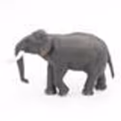 Papo Eléphant d'Asie, 134 g