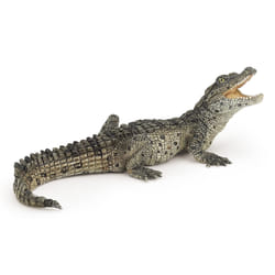 Papo Bébé crocodile