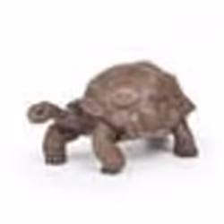 Papo Tortue des Galápagos, 3 an(s), Wild animal kingdom, Marron, PVC