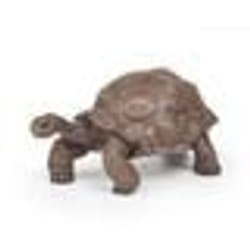 Papo Tortue des Galápagos