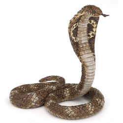 Papo Cobra royal