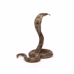 Papo Cobra royal - Vue supplémentaire 2