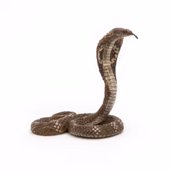 Papo Cobra royal - Vue supplémentaire 3