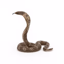Papo Cobra royal - Vue supplémentaire 6