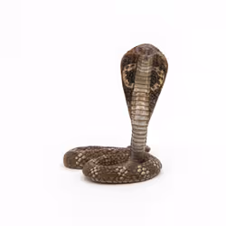 Papo Cobra royal - Vue supplémentaire 8