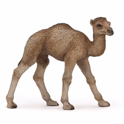 Papo Bébé dromadaire, 3 an(s), Wild animal kingdom, Marron, PVC