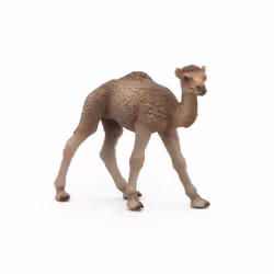 Papo Bébé dromadaire