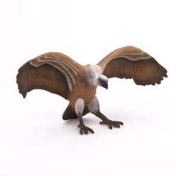 Papo Vautour