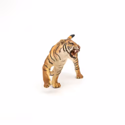 Papo Tigre rugissant - Vue supplémentaire 4