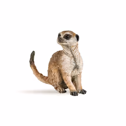 Papo Suricate assis, 3 an(s), Wild animal kingdom, Multicolore, PVC
