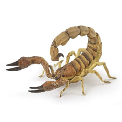 Papo Scorpion