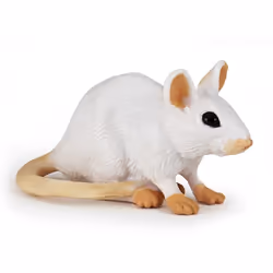Papo Souris blanche, 75 g