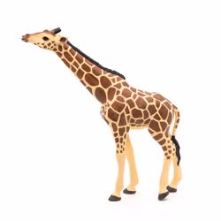Papo Girafe tête levée - Vue supplémentaire 7